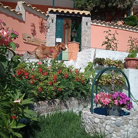 Panorama Apartamento *