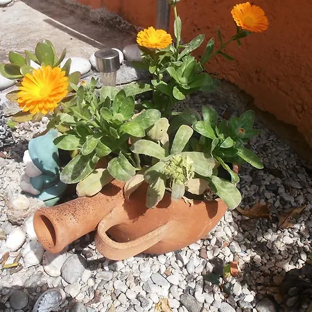 Appartamento Panorama