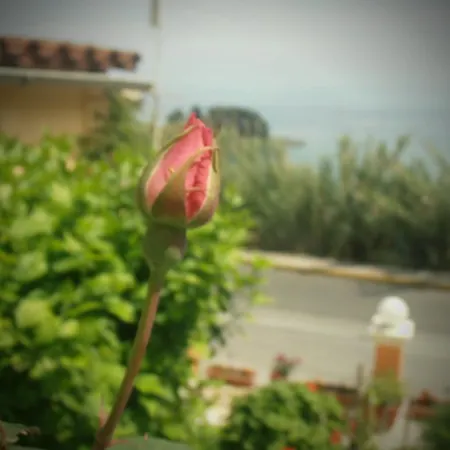 Panorama Appartamento *