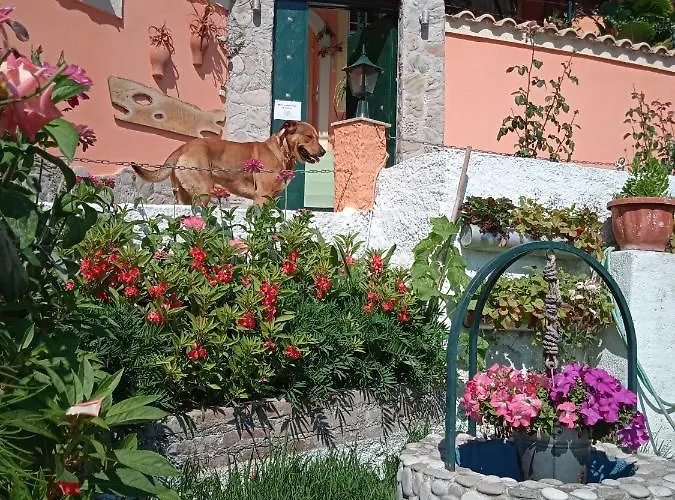 Panorama Daire *