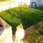 Panorama *