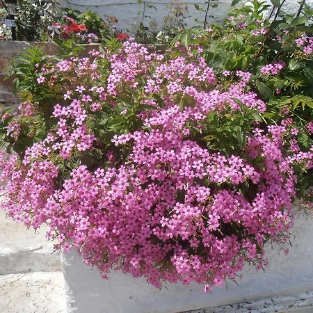 πανόραμα Διαμέρισμα