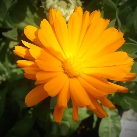 πανόραμα Διαμέρισμα *