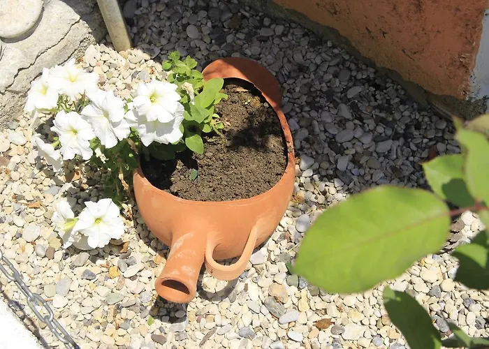 Apartament Panorama *