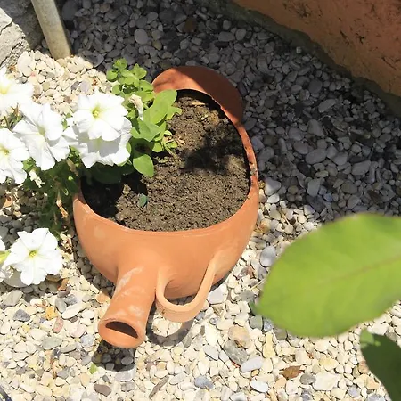 Apartmán Panorama *